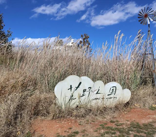 瘆得慌？云南“荒野之国”争议作品拆除，网友评价两极化