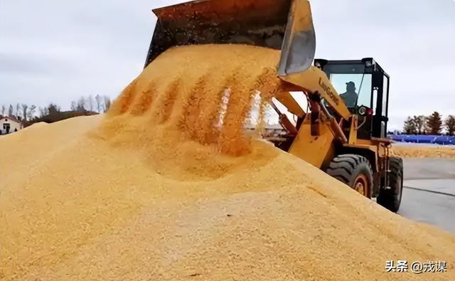 比丢导弹还危险？间谍在我国偷亲本种子，真能卡中国饭碗脖子！