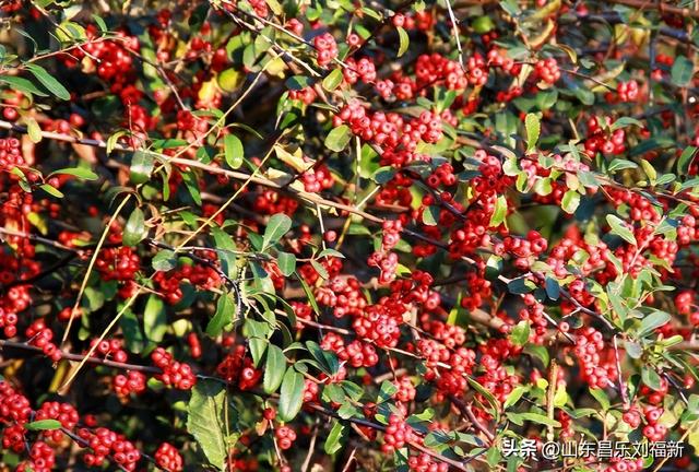 小区1号楼停电·徒步下楼·逛一圈的趣事