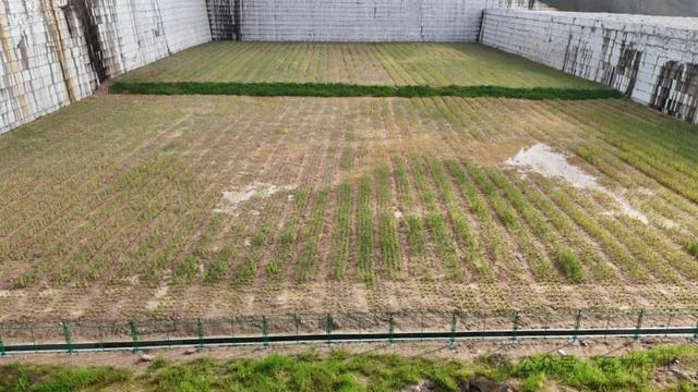 古田县鹤塘镇棋坪洋矿区旧址生态公园真美呀!