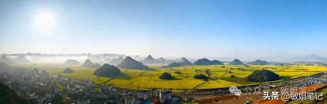 【滇东南游记·二】罗平:在金色花海里追一场春天的光影