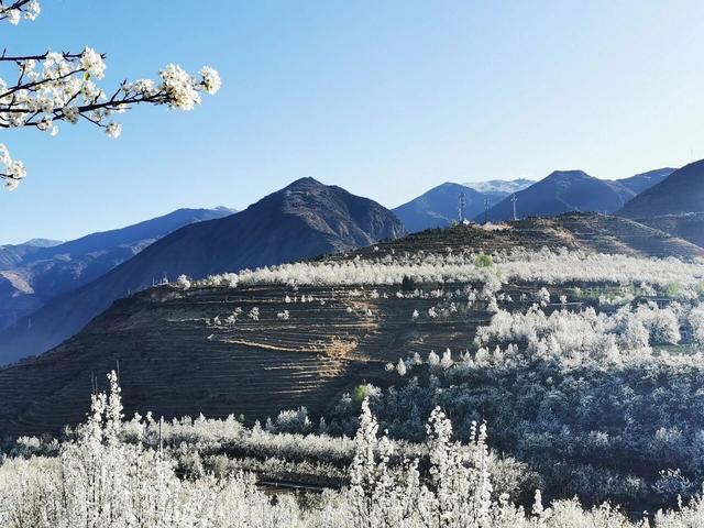 强烈建议3-5月走起的9条自驾路线，春天花开成海，沿途美成天堂！