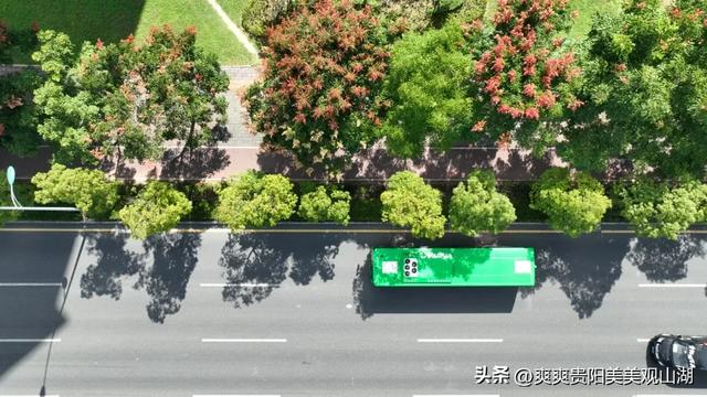 我说“秋天那么美” 栾树：是的！