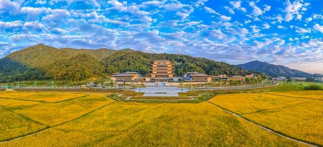 揭秘“流溪烟渚”：周建平权威解读羊城八景岭南新韵