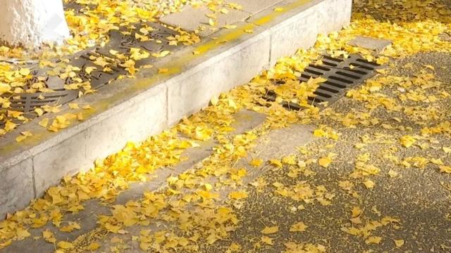 “人少不挤+暖阳鸥遇”，昆明“杀”进淡季旅游热门榜！