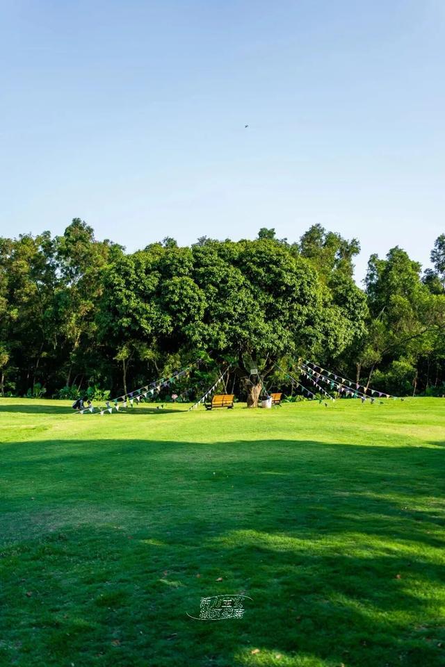 活力宝安城区指南｜山海蓝绿瞬间：山水连城，绿动宝安！