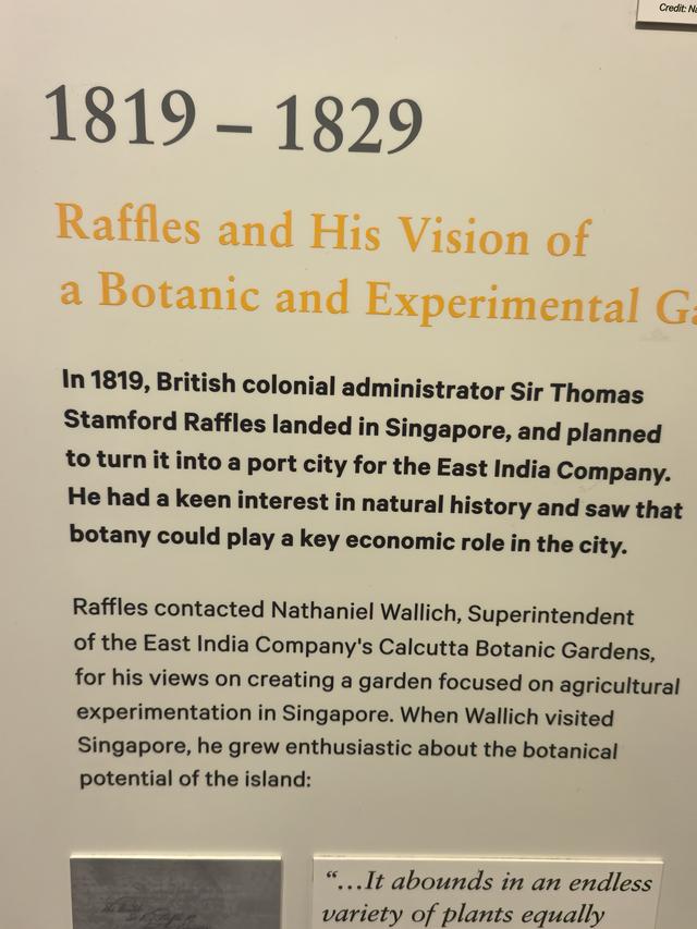 新加坡：“亲自然城市”，并非简单的“花园城市”