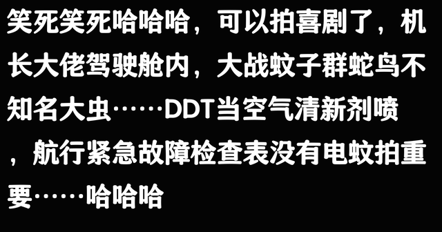 你知道印度有多臭吗？ 网友：妇女成群草丛拉完屎，猪狗就去抢热