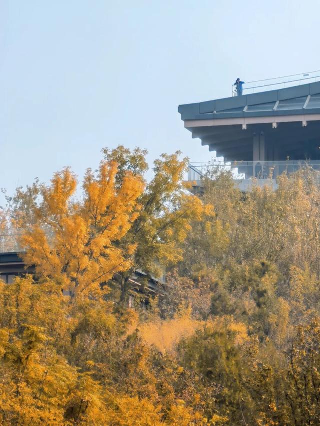 赏秋登高正当时！丰台这些好去处——