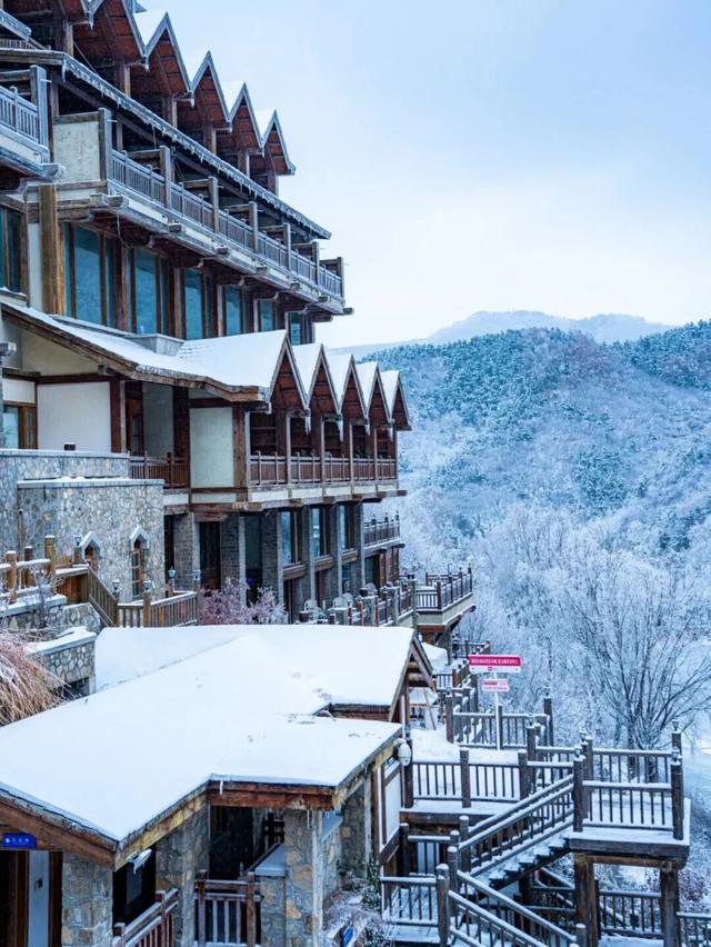 济南的冬天通关秘籍：五感全开才是正确打开方式