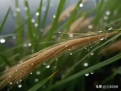 “冬天冷不冷，就看七月十八”，今日七月十八，今年会是寒冬吗？