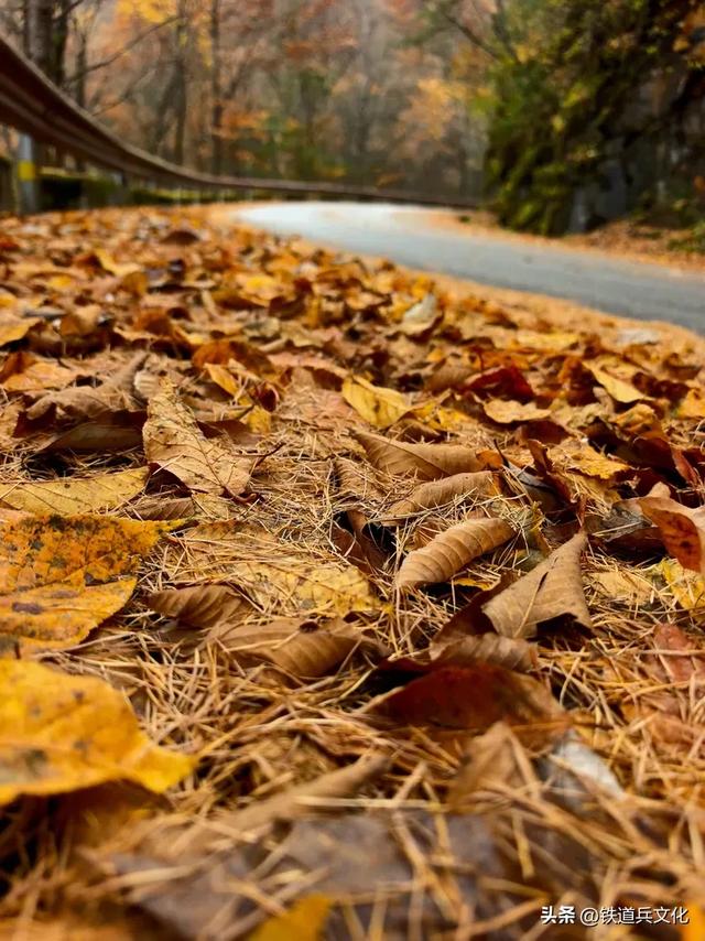 车过神农架【原创】作者:原铁十师陶玉和