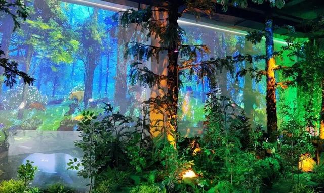 博达作品｜大熊猫国家公园.瓦屋山熊猫博物馆