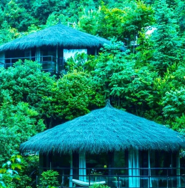 我是河南人，去了趟浙江德清，不吹不黑，德清比网上评价的还要好