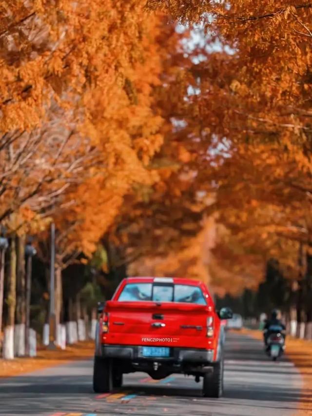 黄山初冬，打翻调色盘的绝美限定 | 皖美冬日