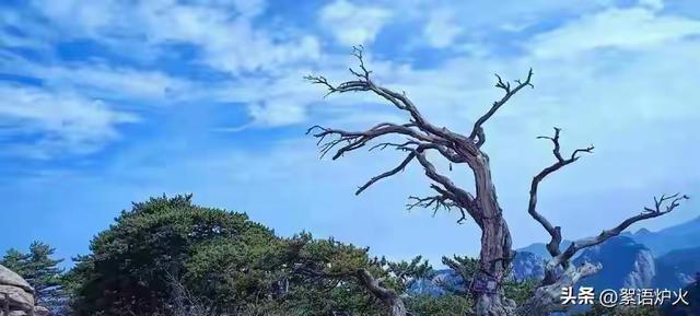 人有色相，一看便知：有色相的人，往往都会有这5个明显特征！