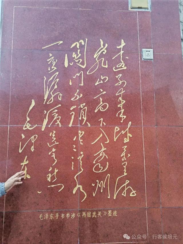 回到故乡陕西商洛，我被满屏文友的温情彻底感动了