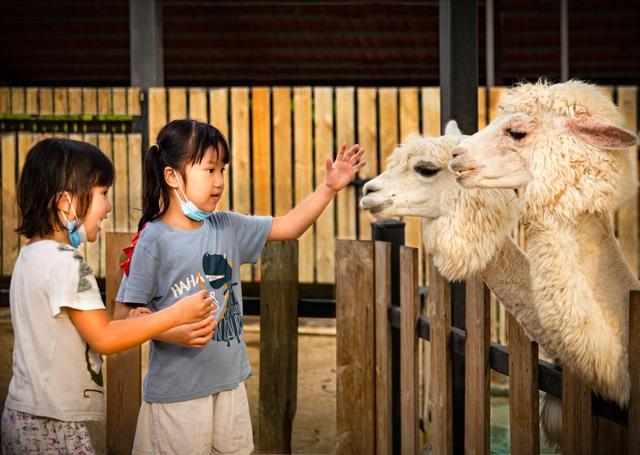 东莞隐贤山庄：夏日狂欢，一站式畅玩新体验