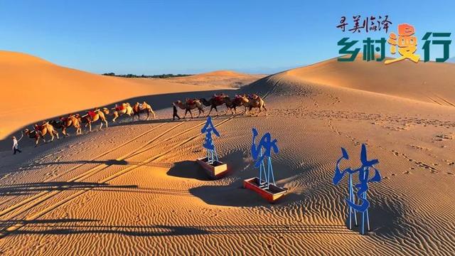 【寻美临泽·乡村漫行】金沙湾：大漠行吟中的星辰与欢歌#厚道甘肃#