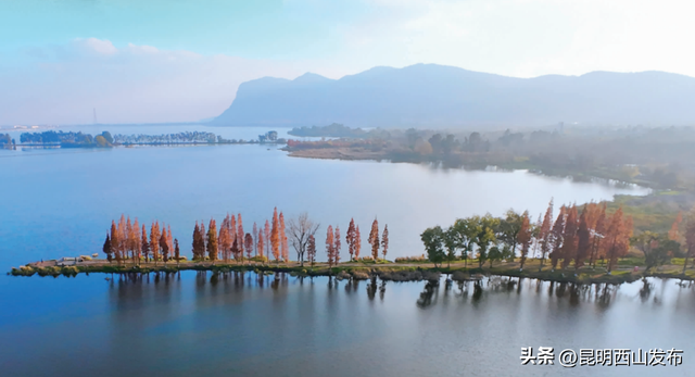 干沟尾湿地“天空之镜”水杉渐红 打卡正当时
