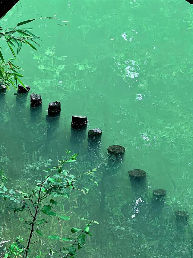 朦胧中坠入一场夏梦🍃 ​