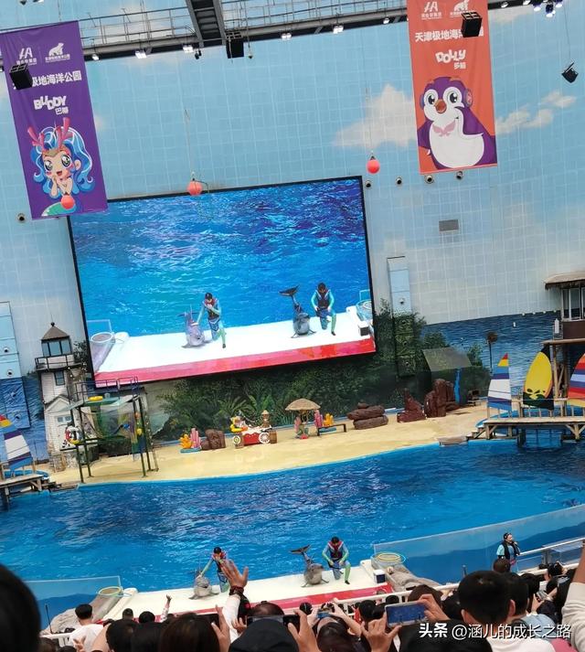 最新天津极地海洋馆一日游攻略——亲测实用!所有演出都可看完!