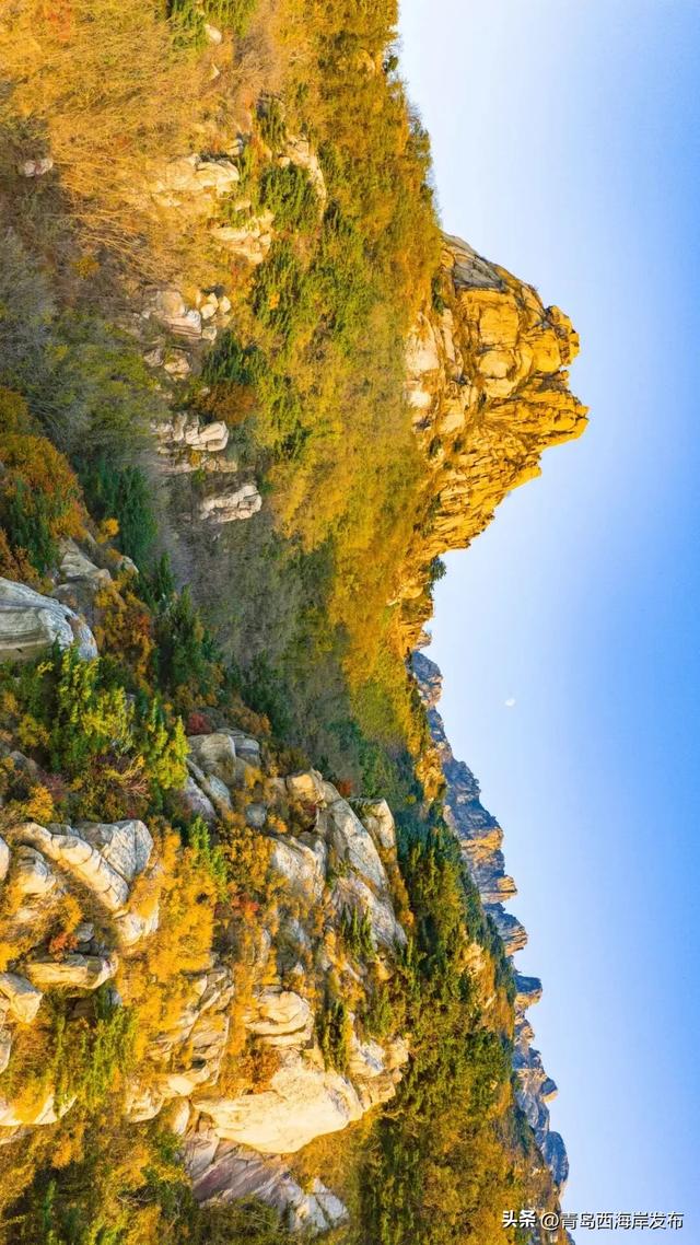 走不出这画了，我已被西海岸的秋景迷倒 🥹