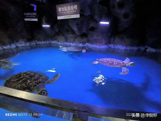 遇见虎滩——寻北之旅（三十六）