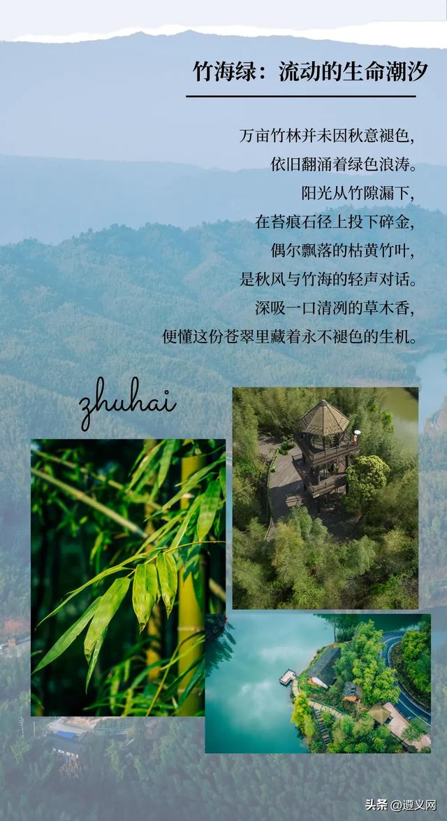 悦·遵义丨秋天的赤水，太美！