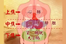 我用一根丝瓜络，治好了孩子多年鼻炎，不禁感慨：现在孩子太遭罪图片