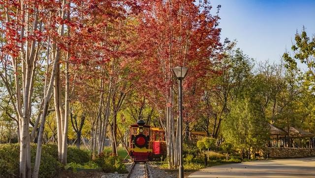 初秋→深秋，昌平这 7 条赏秋线路必冲！（二）