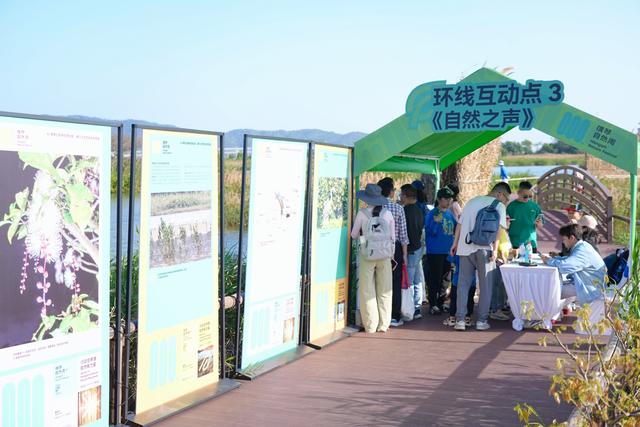 横琴自然周嘉年华启幕 五感探秘红树林守护湿地生态