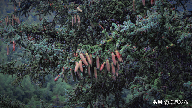 邂逅美丽大峪沟