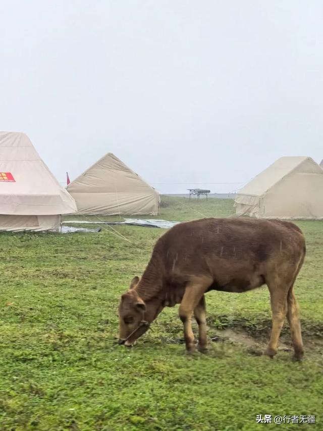 多彩贵州自驾游之盘州篇:天青烟雨走乌蒙