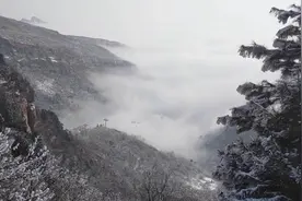 这么近，那么美，周末到河北｜冬日的诗意与美好，在此刻铺展图片