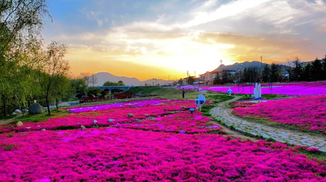 乘着高铁游威海 | 下一站，文登！