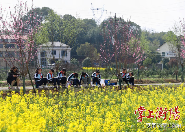 衡阳春日限定！收好这份踏青赏花打卡攻略~