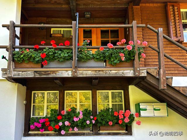 欧游杂记（4）‖ 从因特拉肯到卢塞恩，最大的惊喜是途中的龙疆