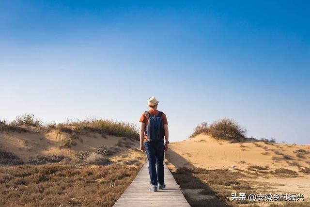 今年往后，钱都是从垃圾堆里翻出来的