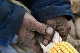 把房子借给亲家住，现在想要回来，亲家却耍起无赖，把我的心伤透图片