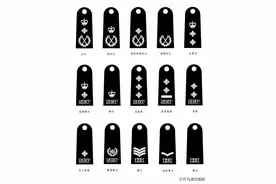 香港皇家警察警衔（港英时期）图片