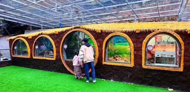 别卷作业了，卷卷大自然！韶关秋日研学，让娃成为朋友圈最酷的崽