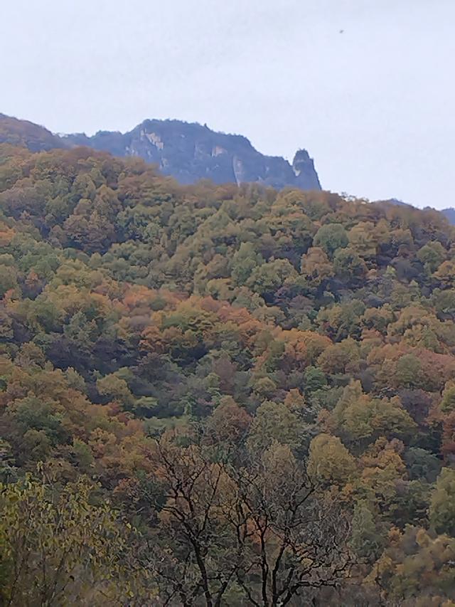 秦岭之秋：一场与山水的温柔邂逅