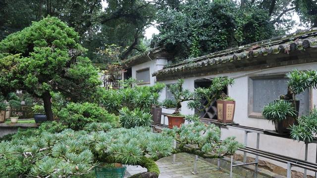 云南千年古寺，矗立深山，有唐代禅杖，元代石碑，千手观音