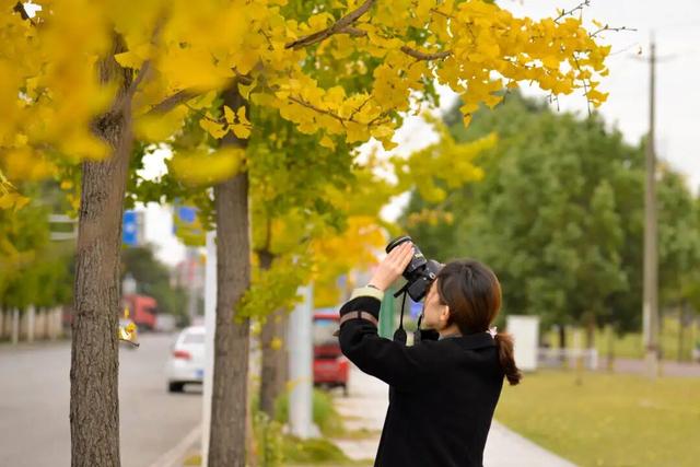 太美了！金堂这些地方值得一去