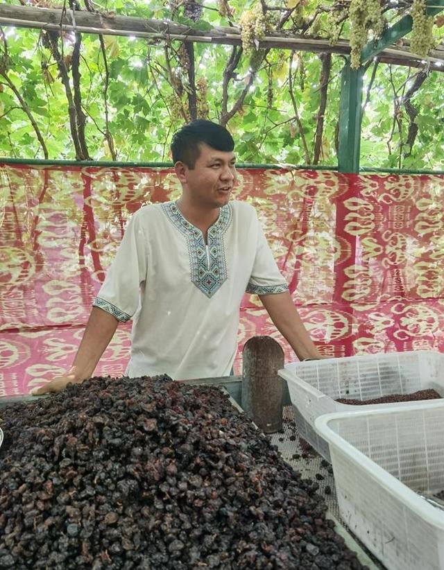 游新疆吐鲁番的坎儿井和葡萄沟