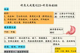 倪海厦讲针灸27-针灸治症08图片