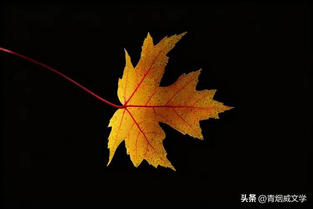 晚秋（随笔）