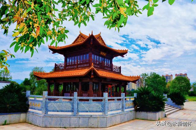 江西永新：秋日湿地 色彩斑斓