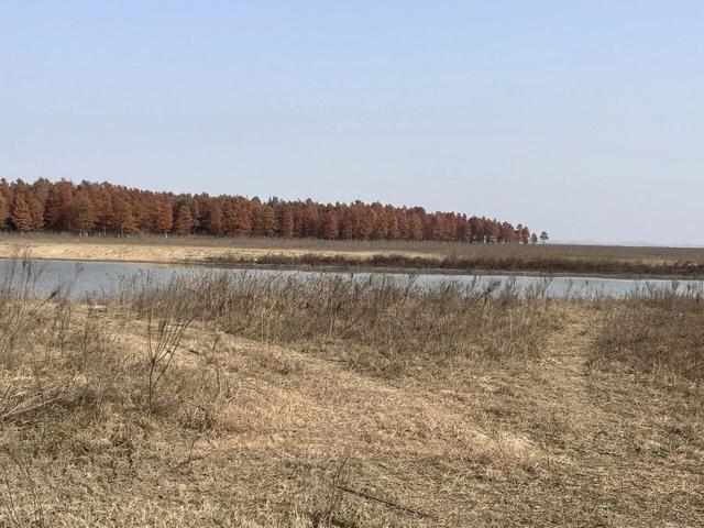 骑游来安半塔釜山水库池杉林生态园攻略